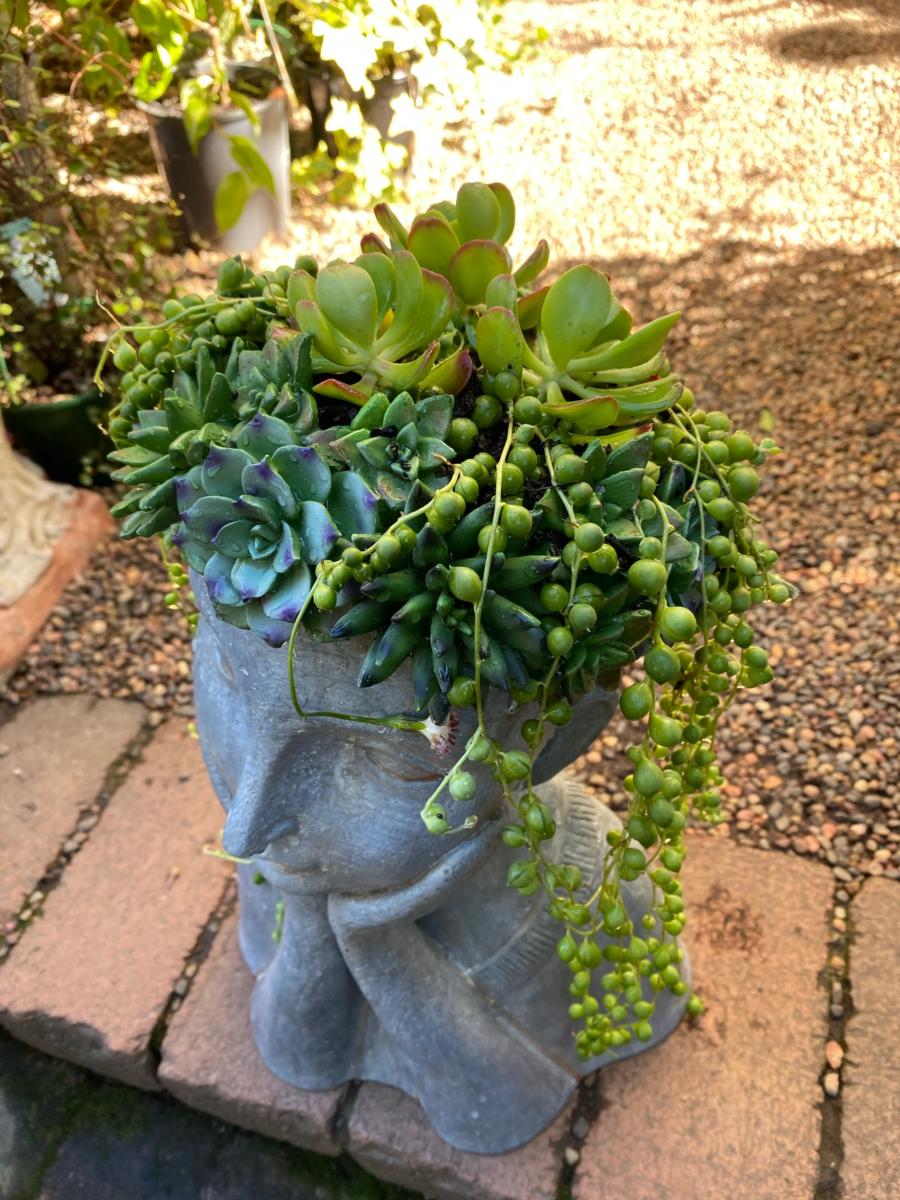 Head Planter Girl Leaning Right - Image 5