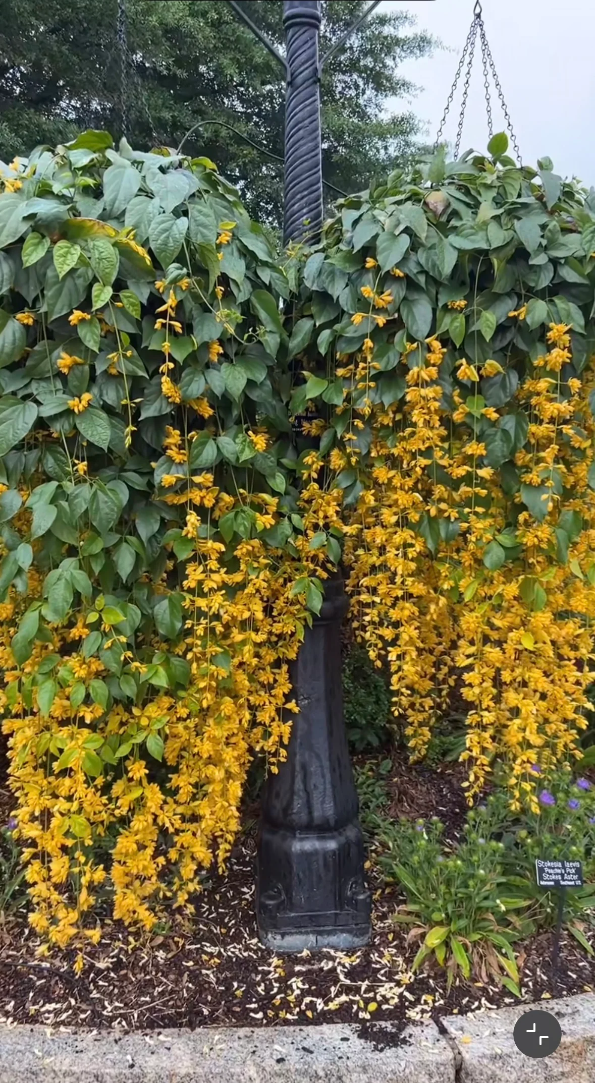 In Focus this Fortnight