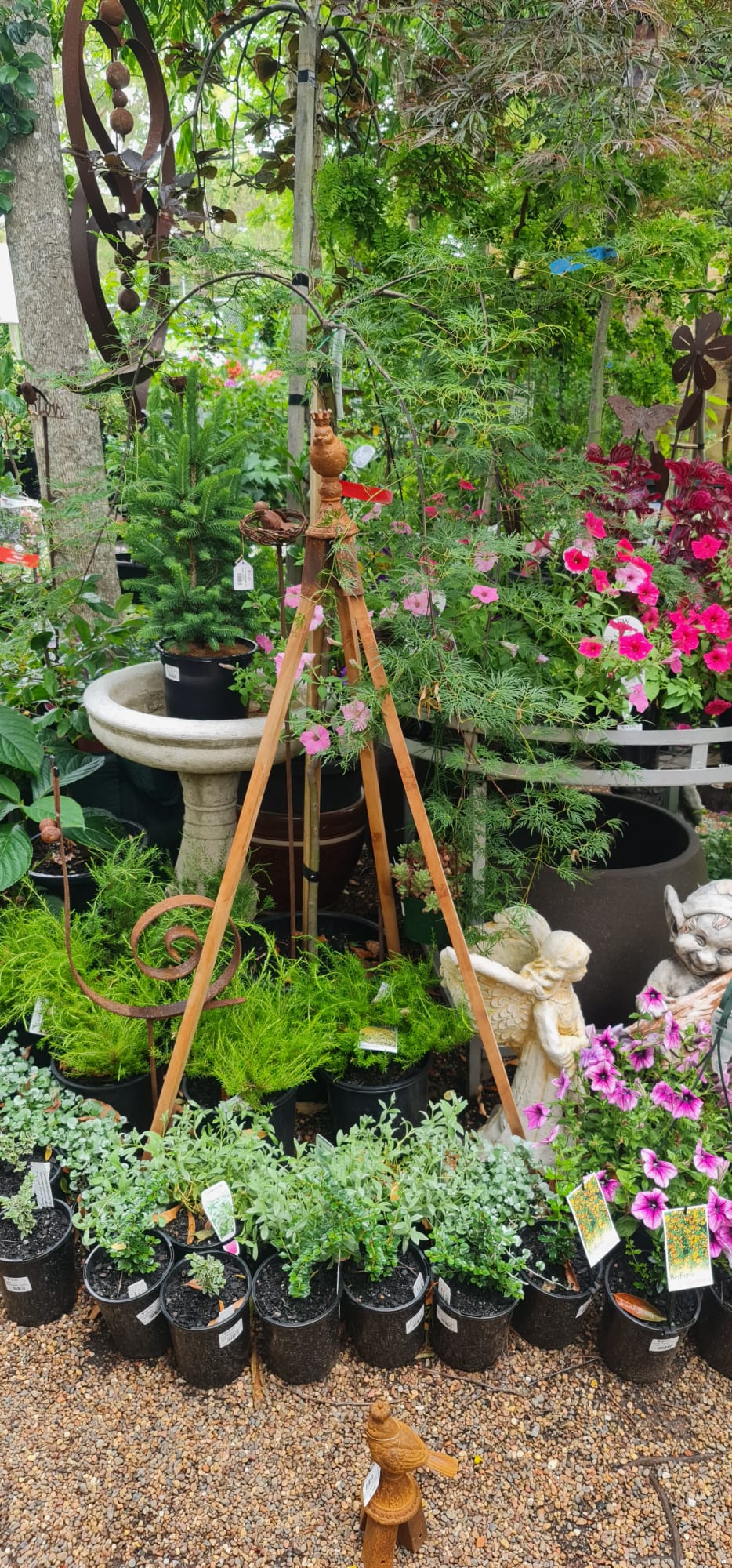 Royal Birds - Cast Iron Garden Stake Toppers - Image 4